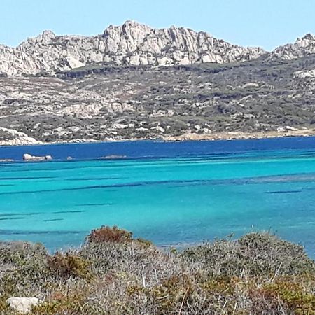 L’asfodelo Bed and Breakfast La Maddalena  Eksteriør billede