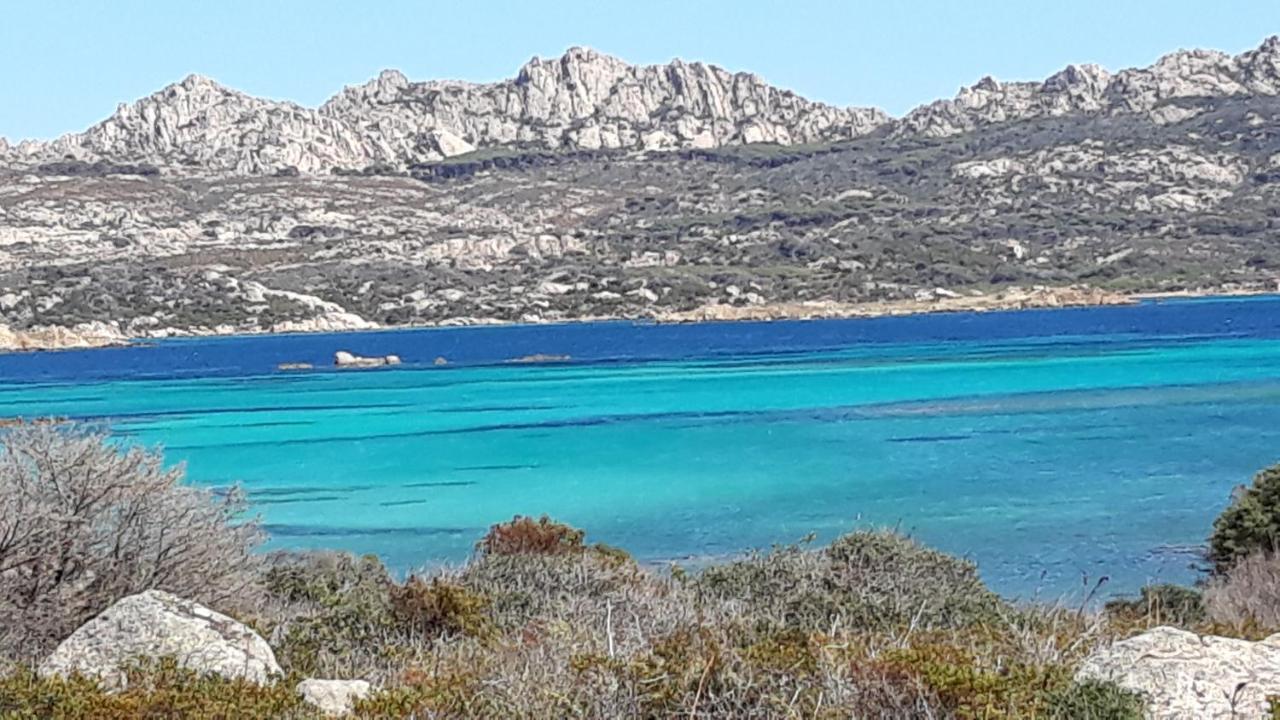L’asfodelo Bed and Breakfast La Maddalena  Eksteriør billede
